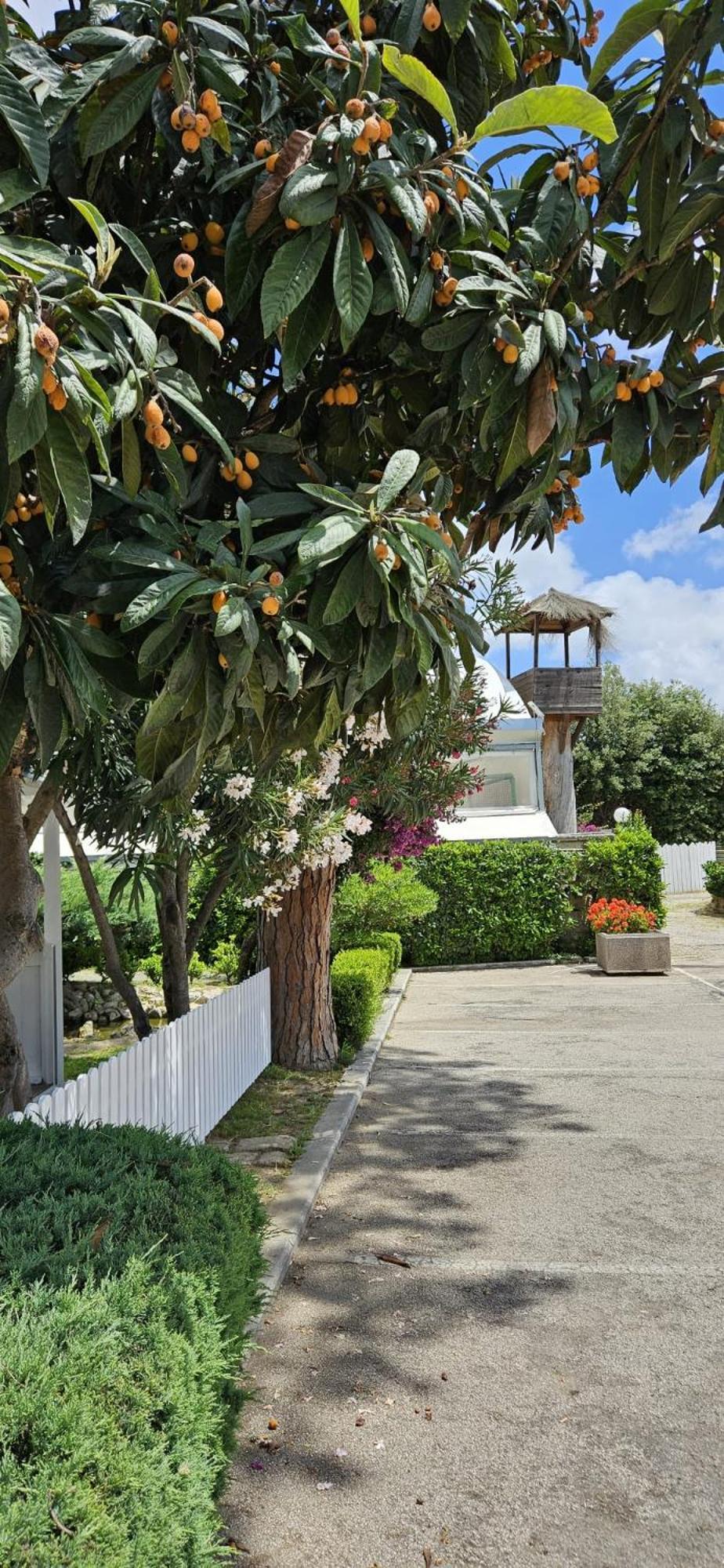 Hotel Mediterraneo Qualiano Exterior photo